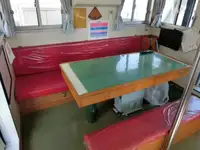 Navire de croisière à vendre