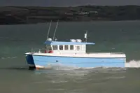 Catamaran à vendre