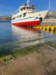 Navire de croisière à vendre