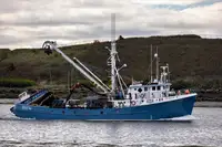 Chalutier à senne à vendre