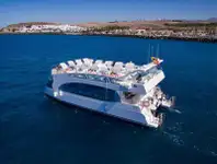 Catamaran à vendre