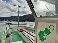 Navire de croisière à vendre