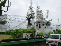 Chalutier à senne à vendre