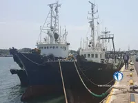 Chalutier à vendre