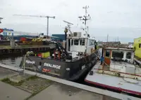 Bateaux de travail à vendre