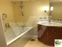 Navire de croisière à vendre