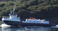 Bateaux de travail à vendre