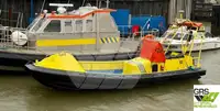 Bateaux de travail à vendre