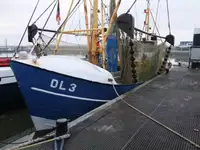 Chalutier à vendre