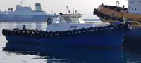 Bateaux de travail à vendre