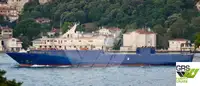 Ro-Ro ship à vendre