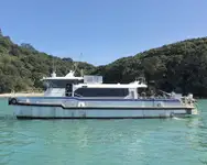 Catamaran à vendre