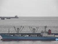 Navire frigorifique à vendre