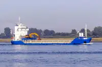 Vraquier à vendre