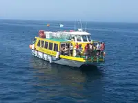 Navire-ferry à vendre
