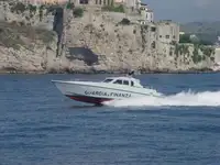 Bateau patrouilleur à vendre