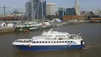 Catamaran à vendre