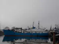Transporteur de vrac à vendre