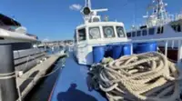 Bateau patrouilleur à vendre
