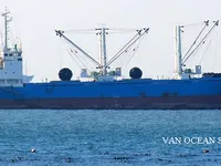 Navire frigorifique à vendre