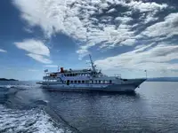 Navire de croisière à vendre