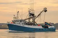 Purse seiner à vendre