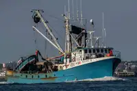 Purse seiner à vendre