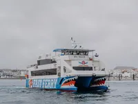 Navire-ferry à vendre