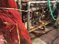 Chalutier à vendre