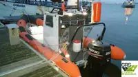 Bateau pneumatique semi-rigide à vendre
