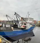 Transporteur de poissons vivants à vendre