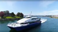 Catamaran à vendre