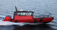Bateau pilote à vendre