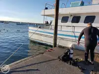Navire-ferry à vendre
