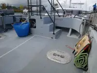 Catamaran à vendre