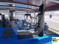 Navire de croisière à vendre