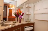 Navire de croisière à vendre