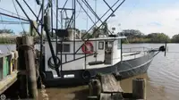 Trawler à vendre