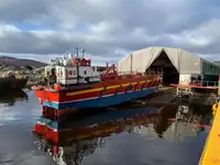 Ro-Ro ship à vendre