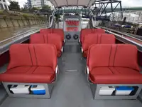 Navire de croisière à vendre