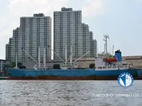 Navire frigorifique à vendre