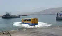 Amphibie à vendre