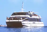 Catamaran à vendre