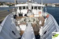Navire de croisière à vendre