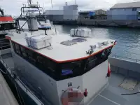 Catamaran à vendre