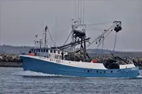 Chalutier à senne à vendre
