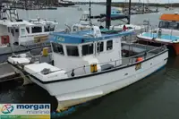 Bateaux de travail à vendre