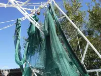Chalutier à vendre