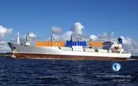 Navire frigorifique à vendre