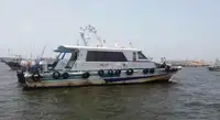 Bateau pilote à vendre